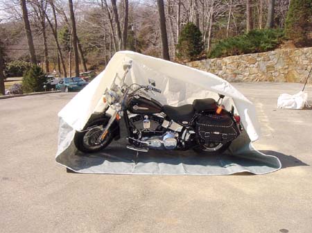 Cycle Cover